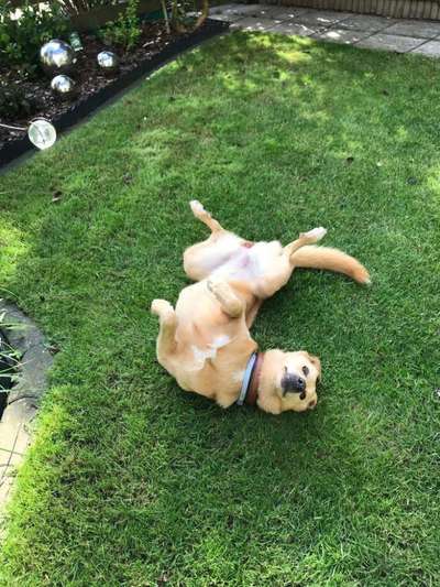 Foto Challenge - Zeigt her eure Bäuche-Beitrag-Bild