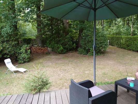 Wo seid ihr gerade mit euren Hunden?-Beitrag-Bild