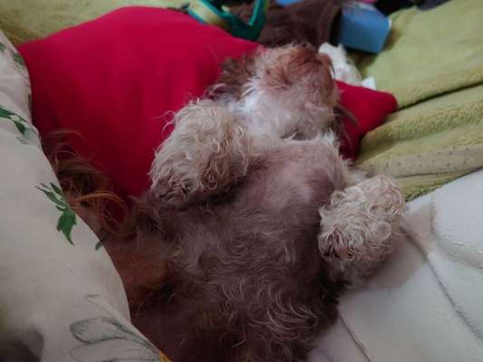 Die unbequemsten und lustigsten Schlafpositionen-Beitrag-Bild