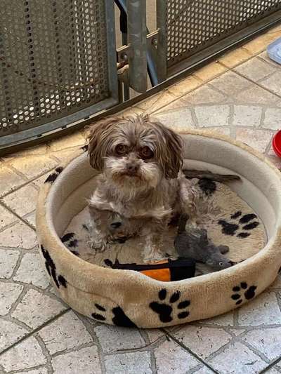 Habt ihr auch einen Balu?-Beitrag-Bild