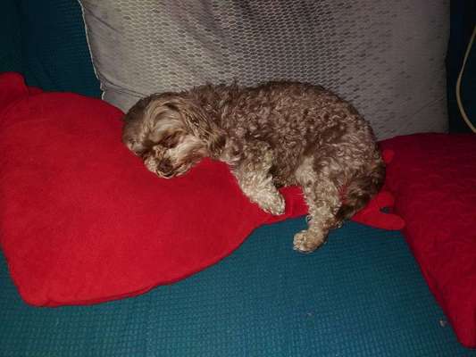 Die unbequemsten und lustigsten Schlafpositionen-Beitrag-Bild