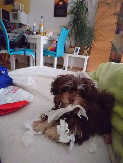 Lustige Bilder-Beitrag-Bild