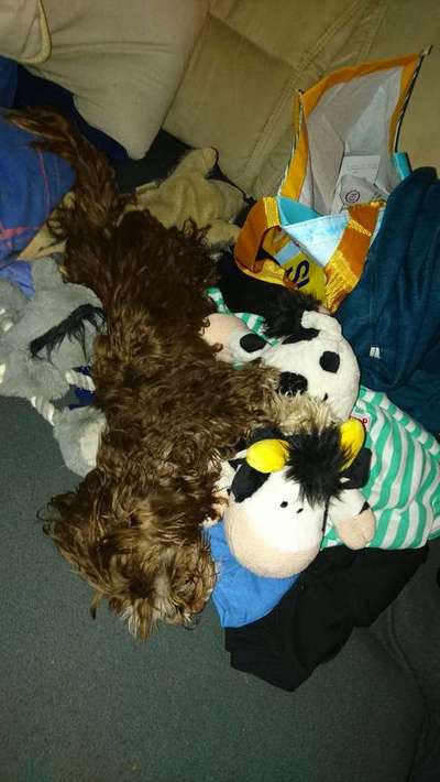 Die unbequemsten und lustigsten Schlafpositionen-Beitrag-Bild