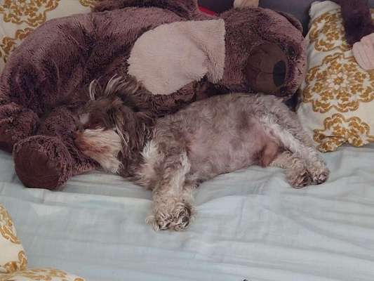 Die unbequemsten und lustigsten Schlafpositionen-Beitrag-Bild