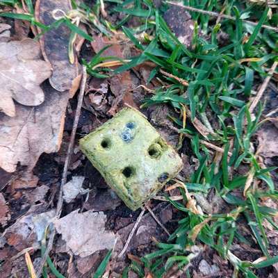 Giftköder-Vermutlich Rattengiftköder-Bild