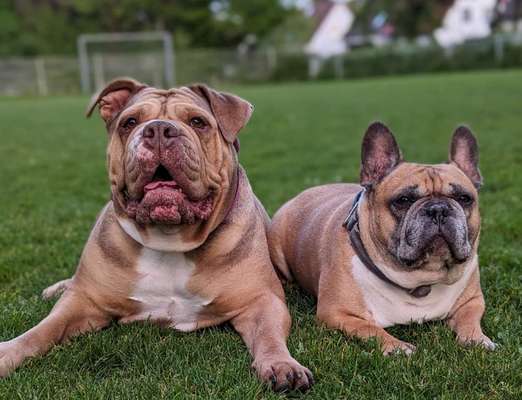 Warum muss es denn unbedingt der sein?-Beitrag-Bild