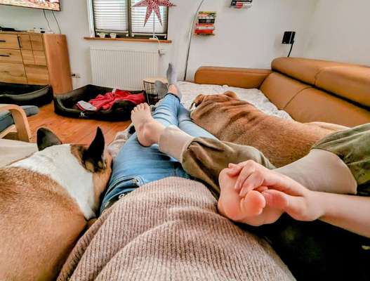 Mit wem kuschelt euer Hund?-Beitrag-Bild