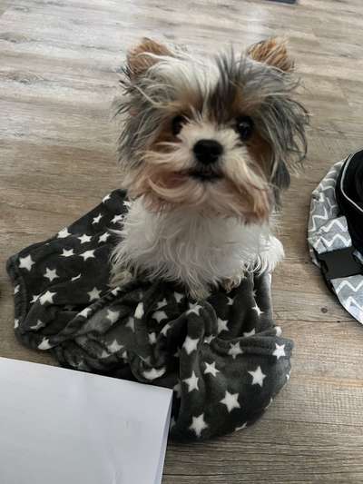 Tipps & Tricks zur Tabletteneinnahme-Beitrag-Bild