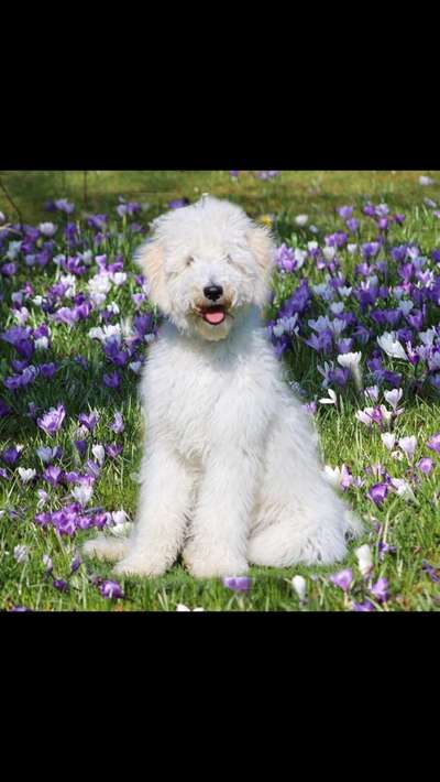 Lieblingsbild-Beitrag-Bild