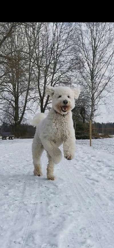 CHALLENGE Nr.17-Beitrag-Bild