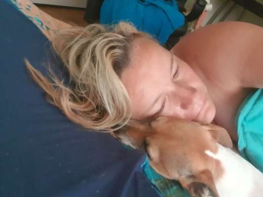 Hunde im Bett-Beitrag-Bild