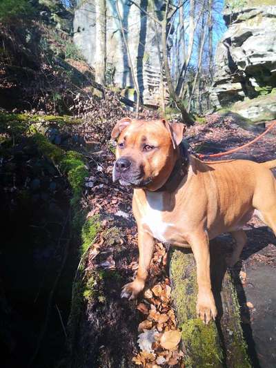 Fotochallenge No. 26                                     Wald und Wiese-Beitrag-Bild