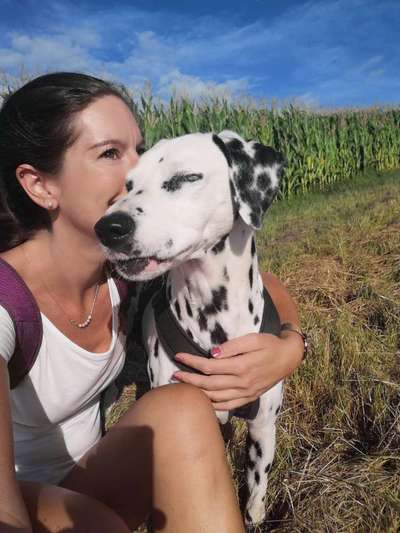 Hundmenschfotos-Beitrag-Bild