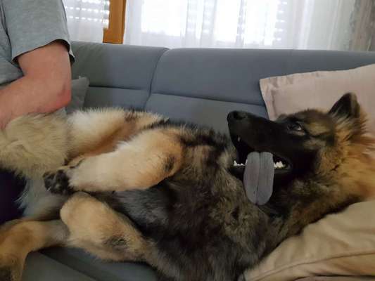 Tongue Out Tuesday-Beitrag-Bild