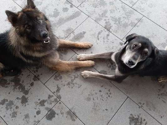 Foto Challenge Nr.: 115-Beitrag-Bild