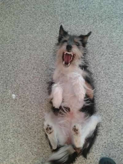 20. Handy -Foto-Callenge-Beitrag-Bild