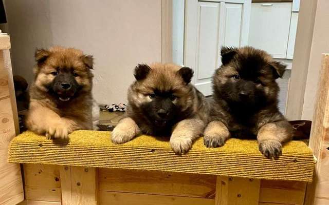 Handy-Foto-Challange Nr. 8-Beitrag-Bild