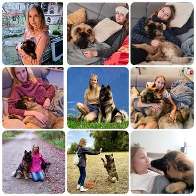 21. Collage Challenge 
Du und dein Hund-Beitrag-Bild