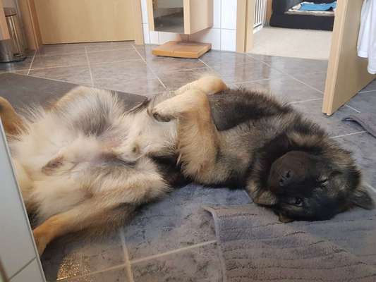 Foto Challange Nr.80-Beitrag-Bild