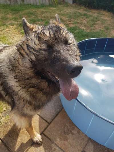 20. Handy -Foto-Callenge-Beitrag-Bild