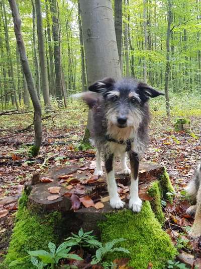 Foto Challenge Nr. 79-Beitrag-Bild