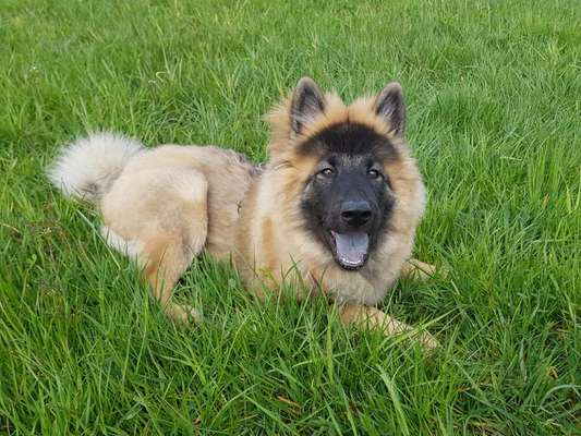 Farben Fotochallenge Thema ,,Grün"-Beitrag-Bild