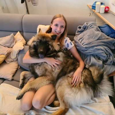 85. Foto Challenge : Schosshund-Beitrag-Bild