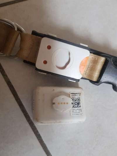 Eure Erfahrung mit GPS-Trackern-Beitrag-Bild