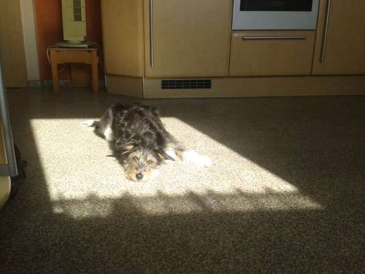 FOTO-Challenge  NR. 91: Die pure Entspannung-Beitrag-Bild