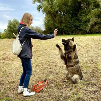 24. Handy-Foto-Challenge-Beitrag-Bild