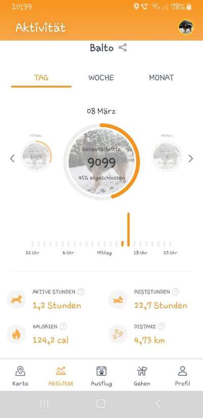 Eure Erfahrung mit GPS-Trackern-Beitrag-Bild