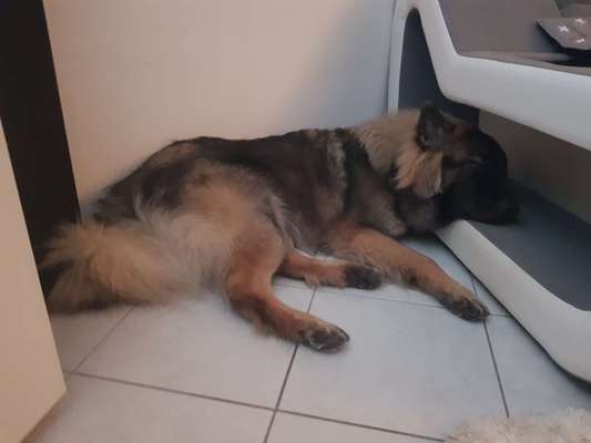 4. Lustiger Schlafplatz-Beitrag-Bild