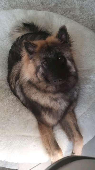 Von oben-Beitrag-Bild