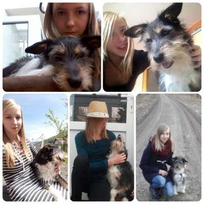 21. Collage Challenge 
Du und dein Hund-Beitrag-Bild