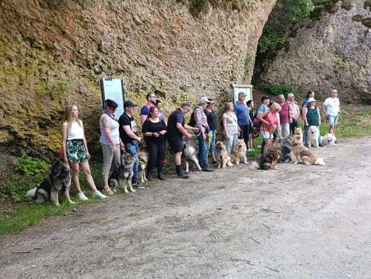 Eurasier hier?-Beitrag-Bild