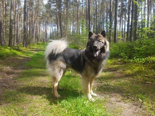 Ist das ein...?-Beitrag-Bild