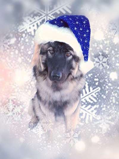 Photoshop und Co.-Beitrag-Bild