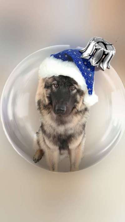 Photoshop und Co.-Beitrag-Bild