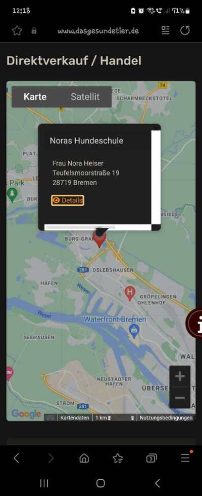 Suche Alternative zu Intesto von das-gesunde-tier-Beitrag-Bild