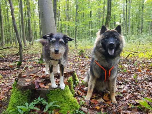 Lieblings Fotos-Beitrag-Bild