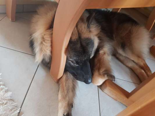 Die unbequemsten und lustigsten Schlafpositionen-Beitrag-Bild