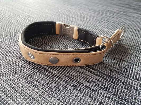 Eurasier hier?-Beitrag-Bild