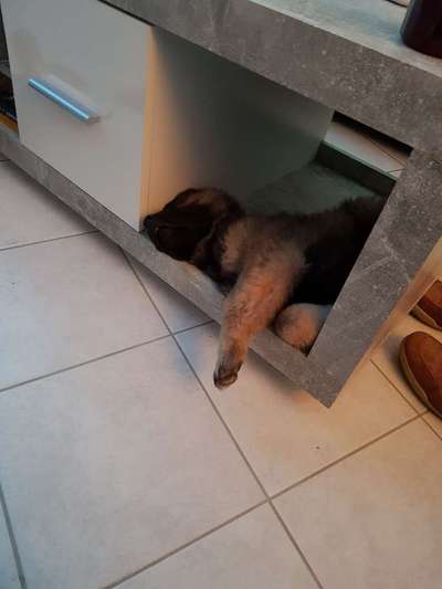 Foto Challenge 112 
ungewöhnliche Schlafplätze-Beitrag-Bild