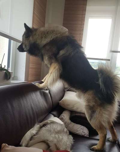 120. Fotochallenge-Beitrag-Bild