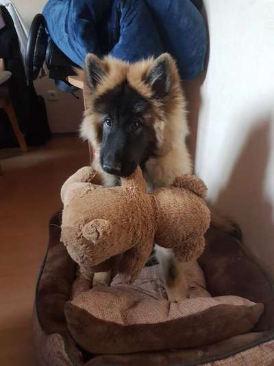 Fotochallenge Nr. 64-Beitrag-Bild