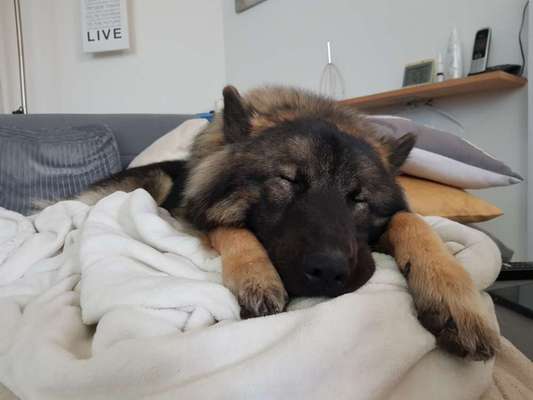 FOTO-Challenge  NR. 91: Die pure Entspannung-Beitrag-Bild