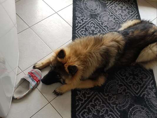 Fotochallenge 113: Auf frsicher Tat ertappt-Beitrag-Bild