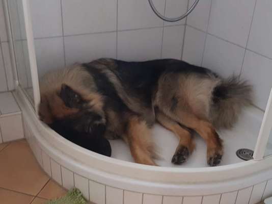 80. Foto  Challenge - Versteckt/ in einer Höhle-Beitrag-Bild