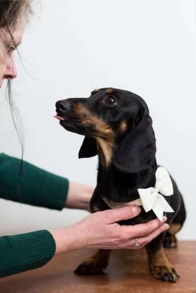 Lieblings Schnappschuss?-Beitrag-Bild