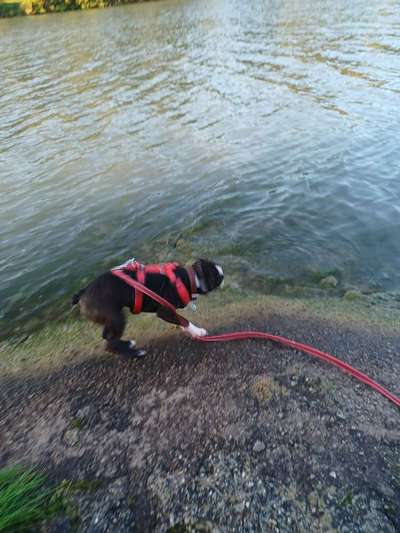 Un...scharf Bilder-Beitrag-Bild